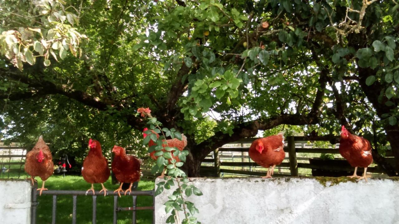 Cummins Cottages Ballycrossaun Zewnętrze zdjęcie