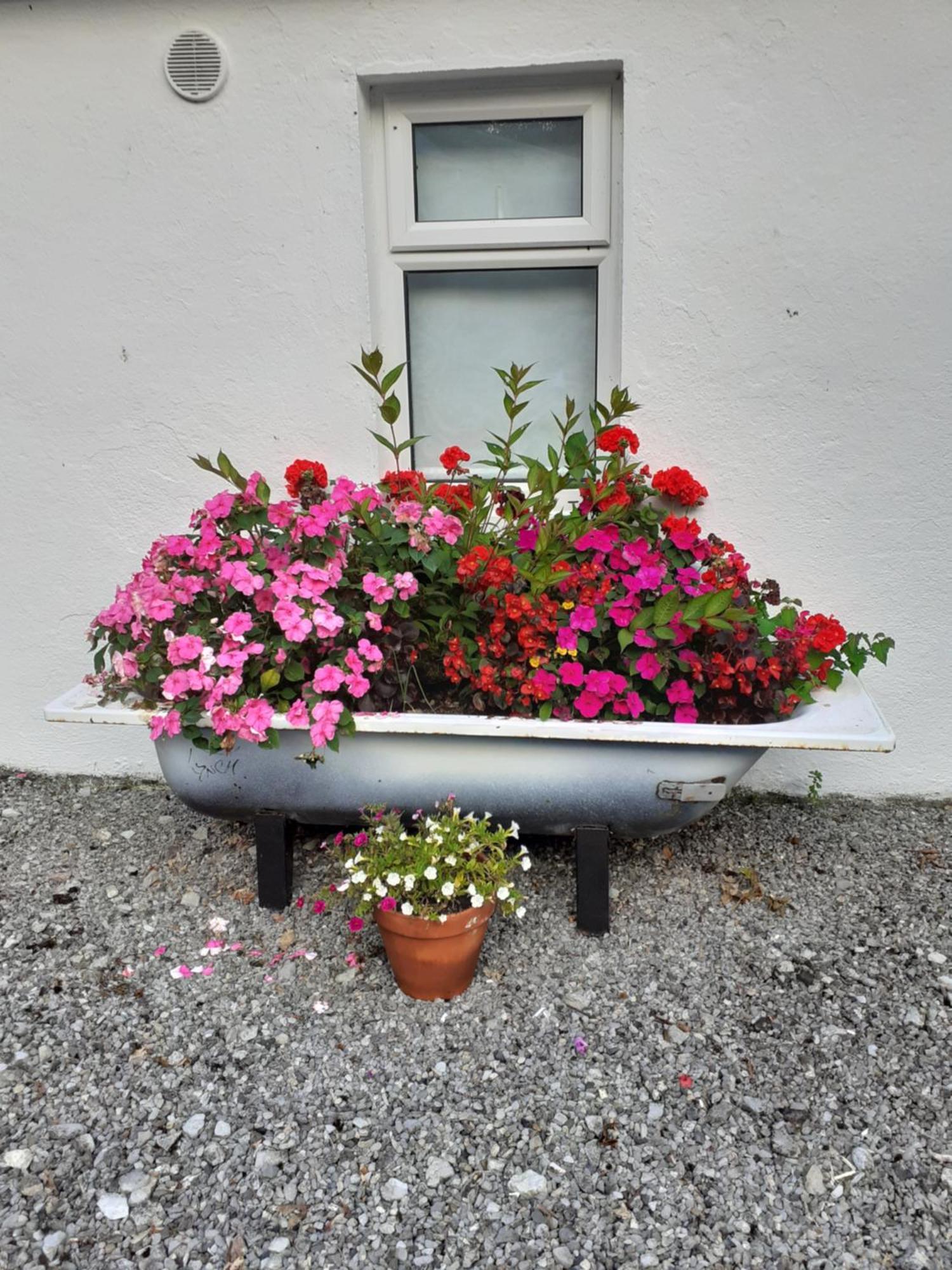 Cummins Cottages Ballycrossaun Zewnętrze zdjęcie