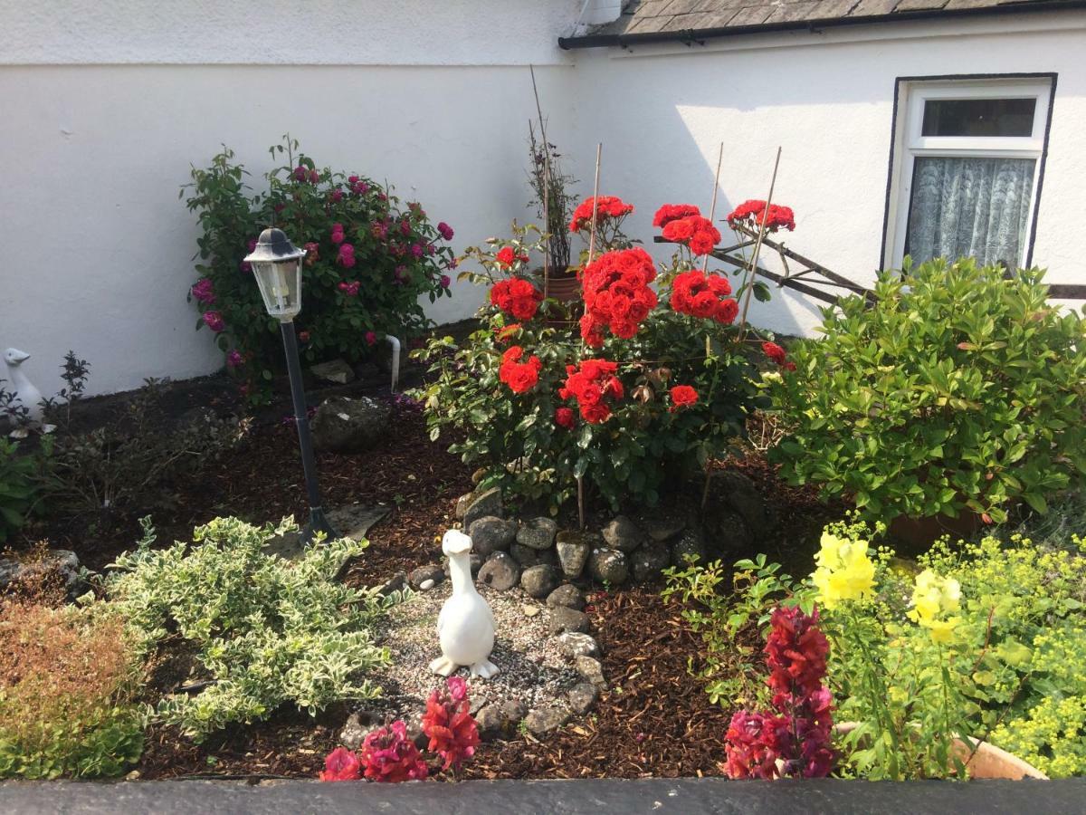 Cummins Cottages Ballycrossaun Zewnętrze zdjęcie